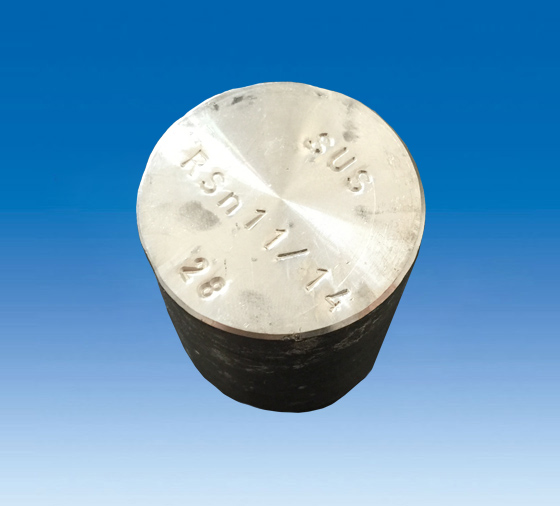 Rsn11大圖2.jpg Rsn11大圖2.jpg